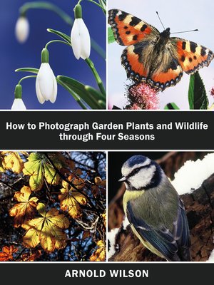 cover image of How to Photograph Garden Plants and Wildlife Through Four Seasons